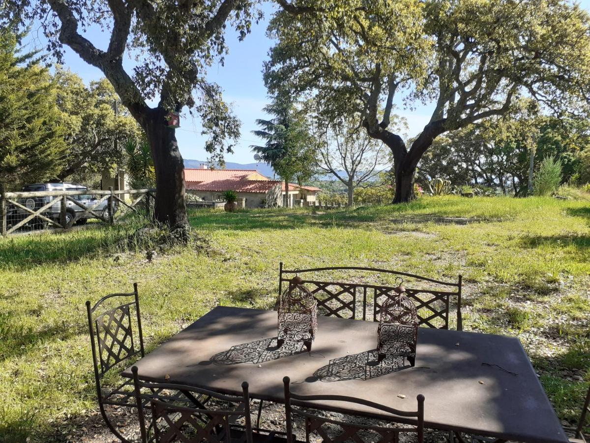 Casa Da Vinha Villa Castelo Novo Екстериор снимка
